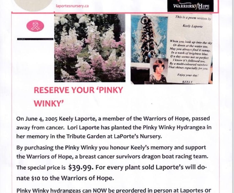 Pinky Winky Hydrangea Campaign