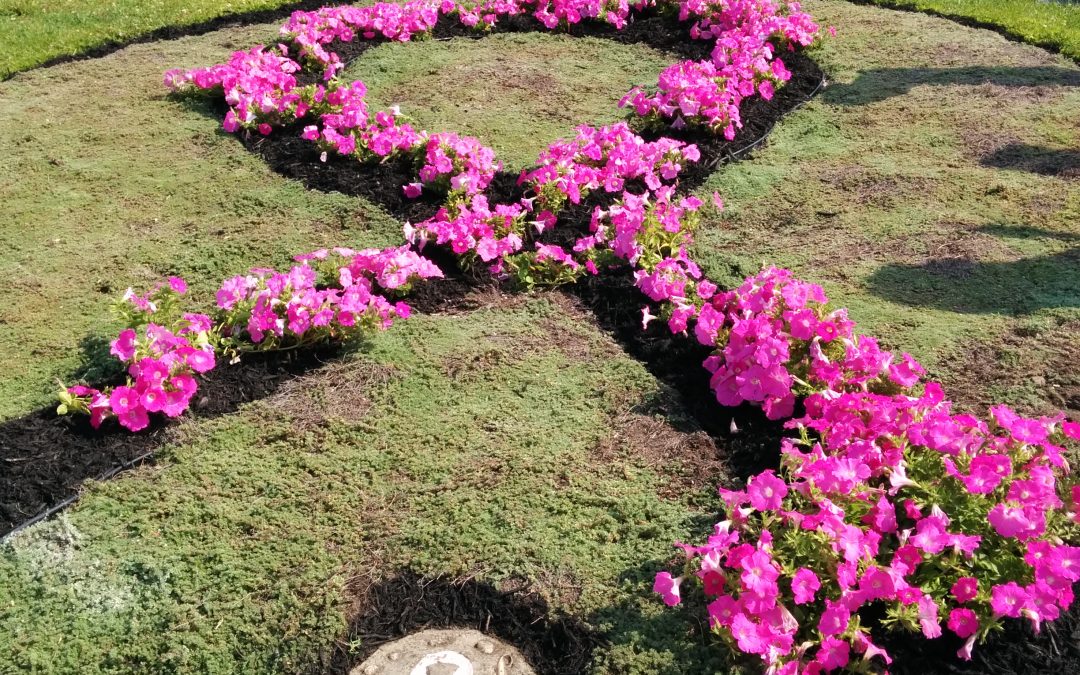The Ribbon of Hope Garden Bed (2014)