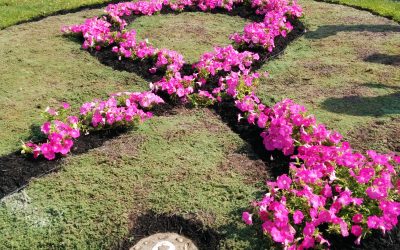 The Ribbon of Hope Garden Bed (2014)